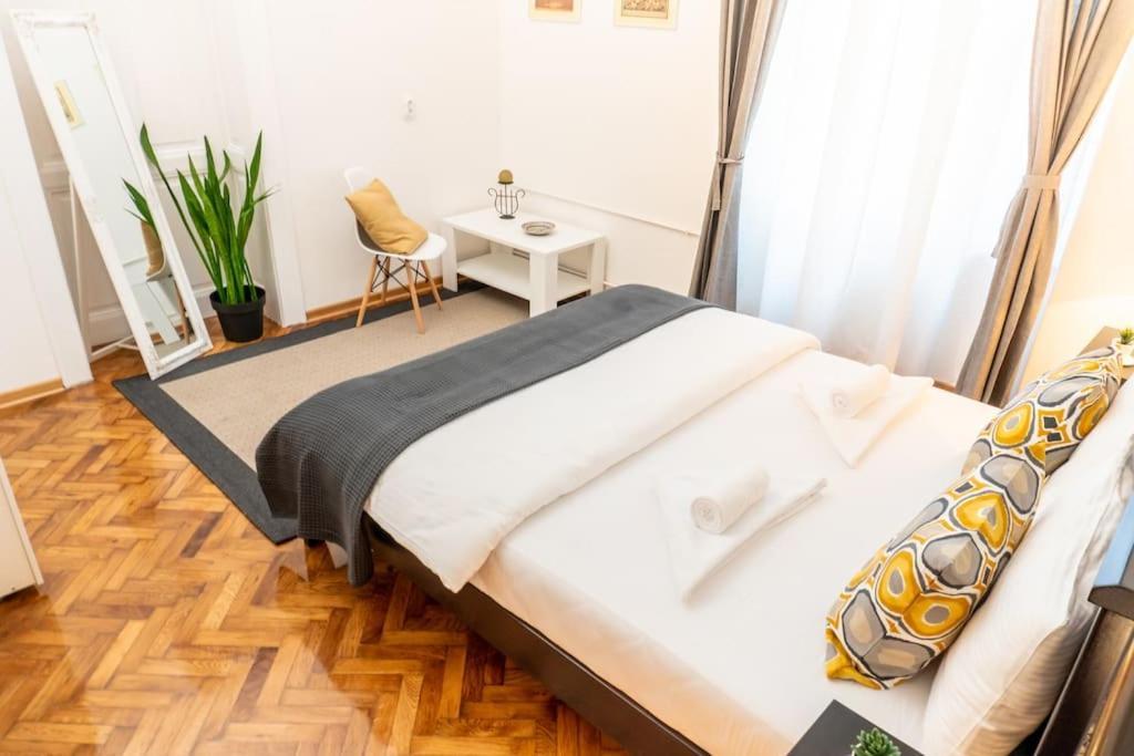 Central And Comfy 2Bdr Apartment Near Parliament 贝尔格莱德 外观 照片