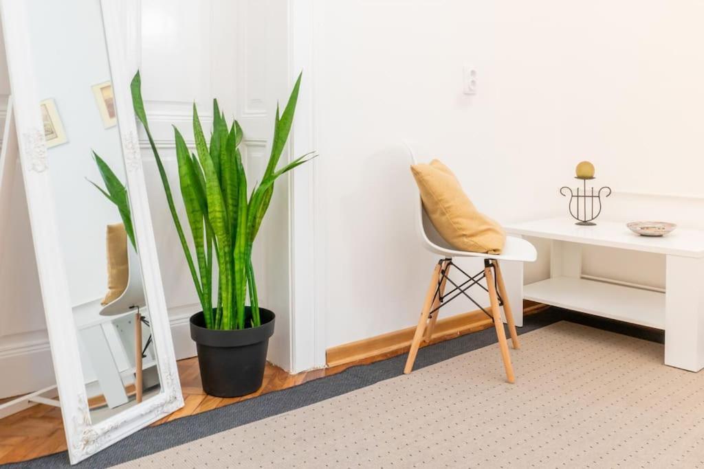 Central And Comfy 2Bdr Apartment Near Parliament 贝尔格莱德 外观 照片